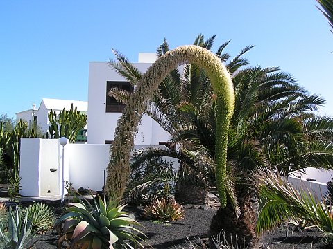 Casa Franconia